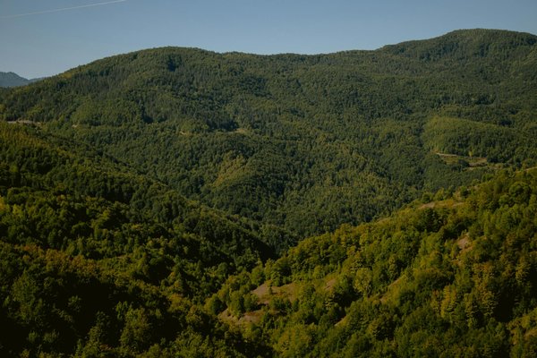 Les étapes essentielles pour réussir une rénovation d'ampleur